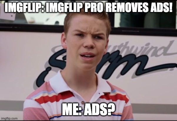 you never see them lol | IMGFLIP: IMGFLIP PRO REMOVES ADS! ME: ADS? | image tagged in you guys are getting paid | made w/ Imgflip meme maker