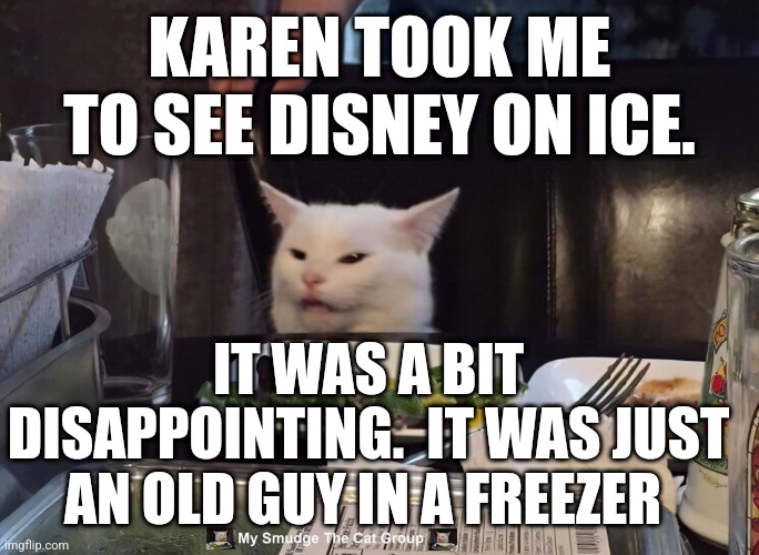 KAREN TOOK ME TO SEE DISNEY ON ICE. IT WAS A BIT DISAPPOINTING.  IT WAS JUST AN OLD GUY IN A FREEZER | image tagged in smudge the cat | made w/ Imgflip meme maker