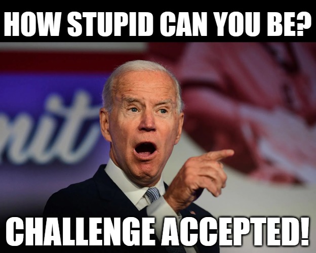 Slo Joe Challenge | HOW STUPID CAN YOU BE? CHALLENGE ACCEPTED! | image tagged in angry joe biden pointing,slo joe | made w/ Imgflip meme maker