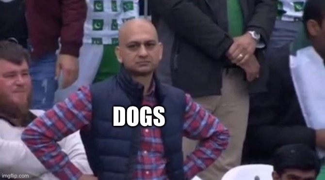 muhammad sarim akhtar | DOGS | image tagged in muhammad sarim akhtar | made w/ Imgflip meme maker