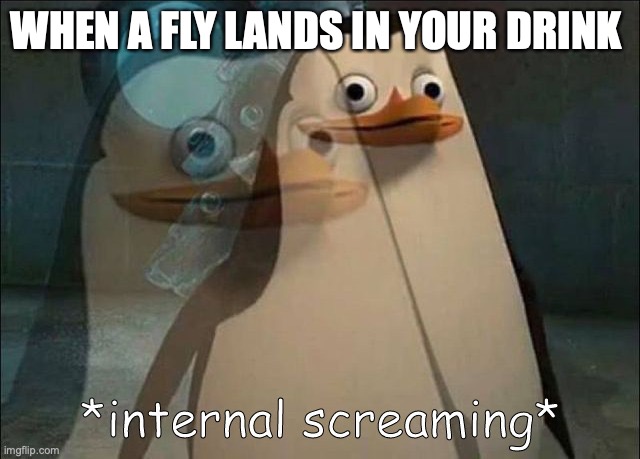 Why though? | WHEN A FLY LANDS IN YOUR DRINK | image tagged in private internal screaming | made w/ Imgflip meme maker