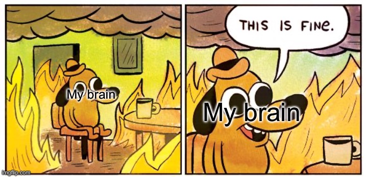 This Is Fine Meme | My brain My brain | image tagged in memes,this is fine | made w/ Imgflip meme maker