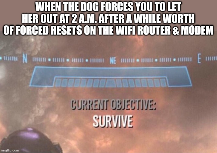 Sometimes it's better to just end the day and that's exactly what I'm gonna do as of now | WHEN THE DOG FORCES YOU TO LET HER OUT AT 2 A.M. AFTER A WHILE WORTH OF FORCED RESETS ON THE WIFI ROUTER & MODEM | image tagged in current objective survive,memes,relatable,stressed out,dank memes,high blood pressure | made w/ Imgflip meme maker