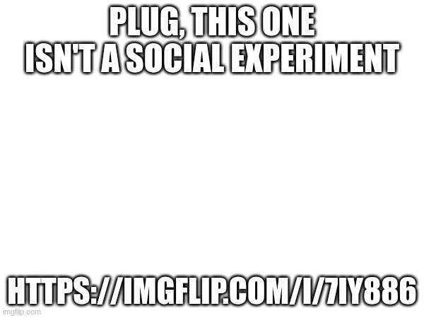 PLUG, THIS ONE ISN'T A SOCIAL EXPERIMENT; HTTPS://IMGFLIP.COM/I/7IY886 | made w/ Imgflip meme maker