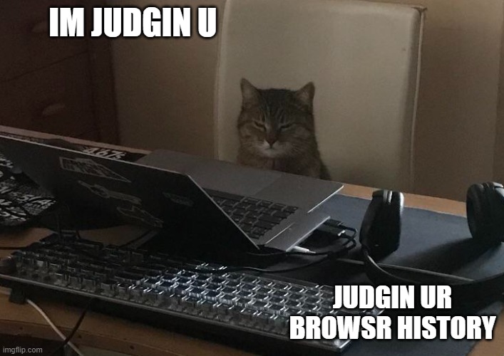 cat judges your browser history | IM JUDGIN U; JUDGIN UR BROWSR HISTORY | image tagged in cats,browser history | made w/ Imgflip meme maker