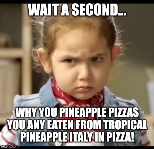 WAIT A SECOND... WHY YOU PINEAPPLE PIZZAS YOU ANY EATEN FROM TROPICAL PINEAPPLE ITALY IN PIZZA! | made w/ Imgflip meme maker