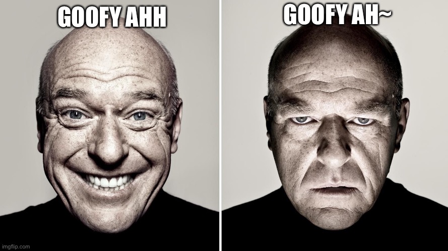 Dean Norris's reaction | GOOFY AH~; GOOFY AHH | image tagged in dean norris's reaction | made w/ Imgflip meme maker