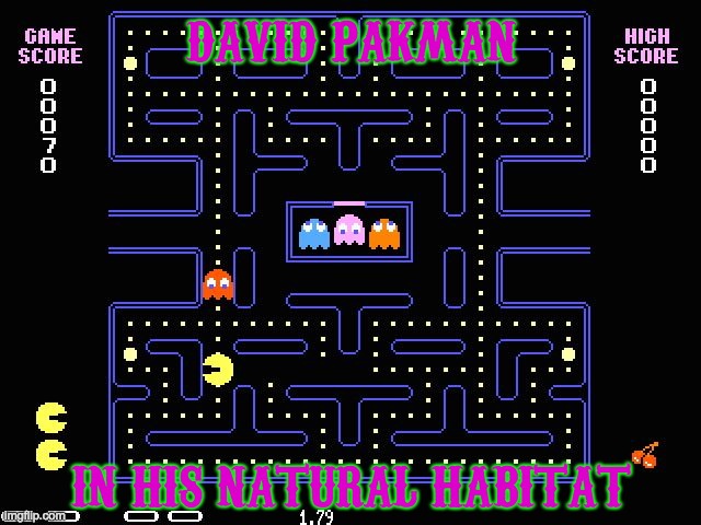 Pac Man | DAVID PAKMAN; IN HIS NATURAL HABITAT | image tagged in pac man | made w/ Imgflip meme maker