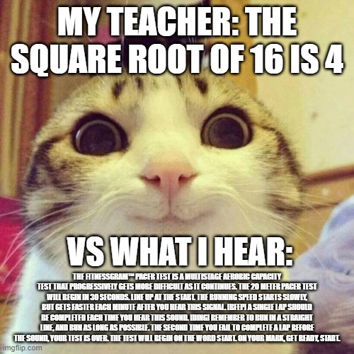 cat is everything | MY TEACHER: THE SQUARE ROOT OF 16 IS 4; VS WHAT I HEAR:; THE FITNESSGRAM™ PACER TEST IS A MULTISTAGE AEROBIC CAPACITY TEST THAT PROGRESSIVELY GETS MORE DIFFICULT AS IT CONTINUES. THE 20 METER PACER TEST WILL BEGIN IN 30 SECONDS. LINE UP AT THE START. THE RUNNING SPEED STARTS SLOWLY, BUT GETS FASTER EACH MINUTE AFTER YOU HEAR THIS SIGNAL. [BEEP] A SINGLE LAP SHOULD BE COMPLETED EACH TIME YOU HEAR THIS SOUND. [DING] REMEMBER TO RUN IN A STRAIGHT LINE, AND RUN AS LONG AS POSSIBLE. THE SECOND TIME YOU FAIL TO COMPLETE A LAP BEFORE THE SOUND, YOUR TEST IS OVER. THE TEST WILL BEGIN ON THE WORD START. ON YOUR MARK, GET READY, START. | image tagged in memes,smiling cat | made w/ Imgflip meme maker