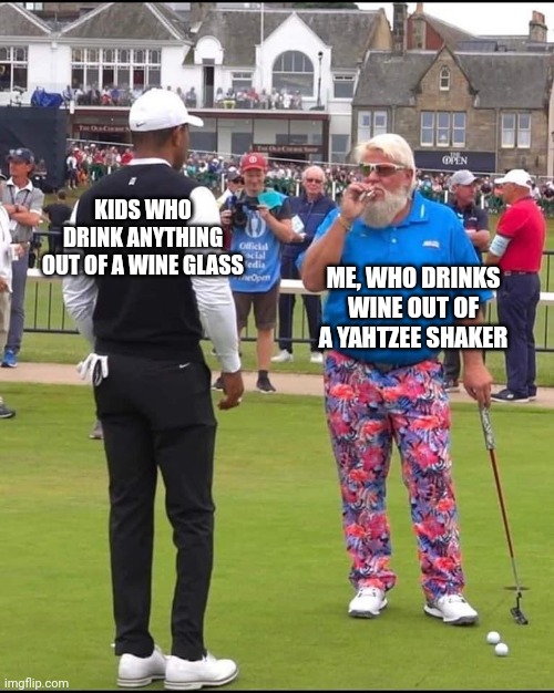 John Daly and Tiger Woods | KIDS WHO DRINK ANYTHING OUT OF A WINE GLASS ME, WHO DRINKS WINE OUT OF A YAHTZEE SHAKER | image tagged in john daly and tiger woods | made w/ Imgflip meme maker