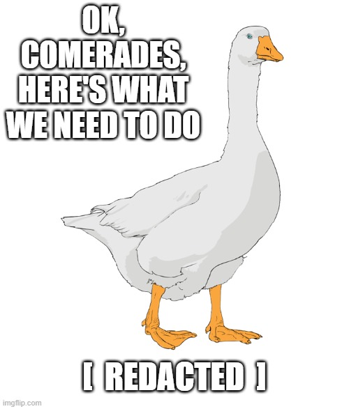 Redacted Goose | OK, COMERADES, HERE'S WHAT WE NEED TO DO; [  REDACTED  ] | image tagged in funny,violence,goose | made w/ Imgflip meme maker