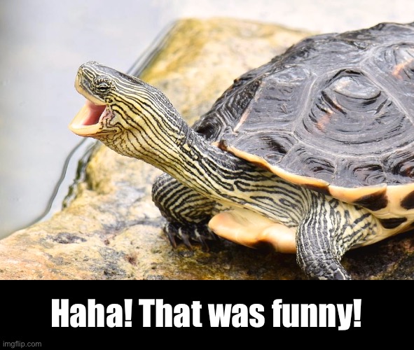 Haha! That was funny! | made w/ Imgflip meme maker