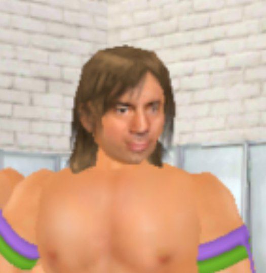 MDickie Marty Jannetty Blank Meme Template