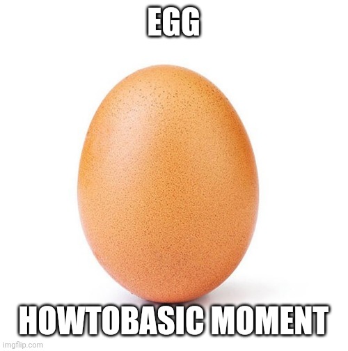 EGG; HOWTOBASIC MOMENT | image tagged in egg,howtobasic | made w/ Imgflip meme maker