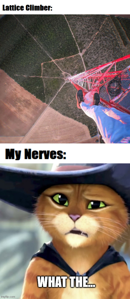 WHAT THE... | image tagged in climbing | made w/ Imgflip meme maker