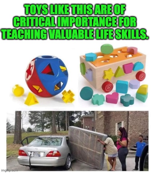 Toys are important | TOYS LIKE THIS ARE OF CRITICAL IMPORTANCE FOR TEACHING VALUABLE LIFE SKILLS. | image tagged in wtf | made w/ Imgflip meme maker