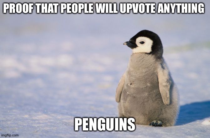 Proof that anybody will upvote | PROOF THAT PEOPLE WILL UPVOTE ANYTHING; PENGUINS | image tagged in penguin gang | made w/ Imgflip meme maker