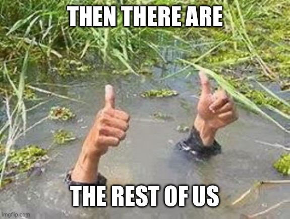 FLOODING THUMBS UP | THEN THERE ARE THE REST OF US | image tagged in flooding thumbs up | made w/ Imgflip meme maker