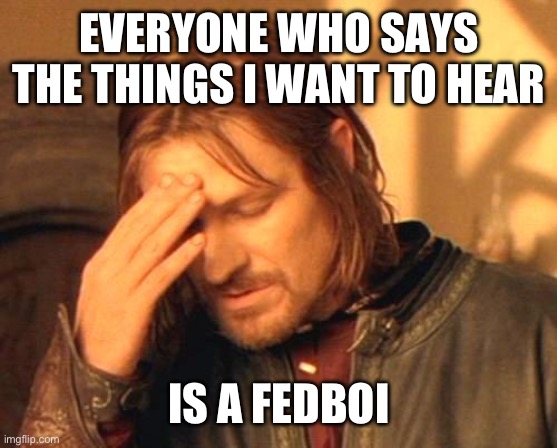 Frustrated Boromir | EVERYONE WHO SAYS THE THINGS I WANT TO HEAR; IS A FEDBOI | image tagged in frustrated boromir | made w/ Imgflip meme maker