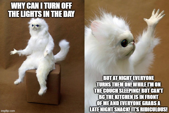 WHY! | WHY CAN I TURN OFF THE LIGHTS IN THE DAY; BUT AT NIGHT EVERYONE TURNS THEM ON! WHILE I'M ON THE COUCH SLEEPING! BUT CAN'T BC THE KITCHEN IS IN FRONT OF ME AND EVERYONE GRABS A LATE NIGHT SNACK! IT'S RIDICULOUS! | image tagged in memes,persian cat room guardian | made w/ Imgflip meme maker
