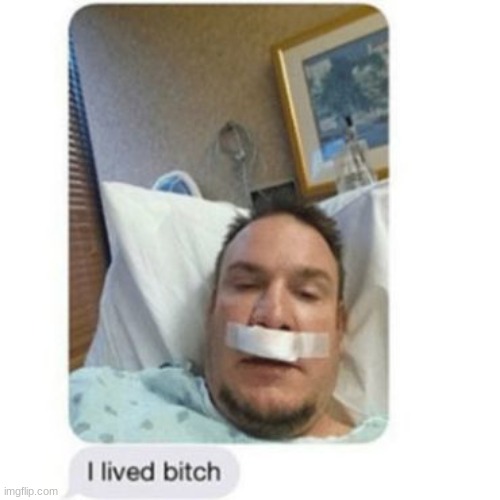 hello chat | image tagged in i lived bitch | made w/ Imgflip meme maker