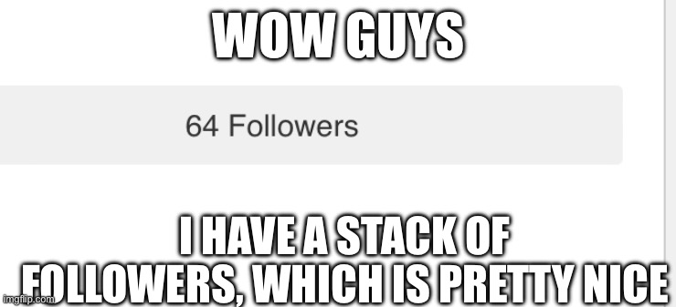 Ayeeeee who else can relate | WOW GUYS; I HAVE A STACK OF FOLLOWERS, WHICH IS PRETTY NICE | image tagged in hmmm,never gonna give you up,never gonna let you down,never gonna run around,and desert you,memes | made w/ Imgflip meme maker