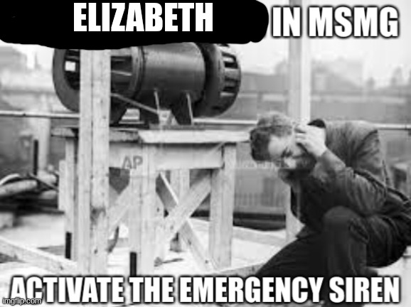 Fun stream user in msmg | ELIZABETH | image tagged in fun stream user in msmg | made w/ Imgflip meme maker