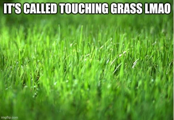 grass is greener | IT'S CALLED TOUCHING GRASS LMAO | image tagged in grass is greener | made w/ Imgflip meme maker