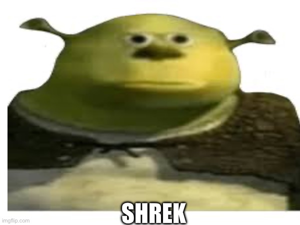 Confused Shrek Memes - Imgflip