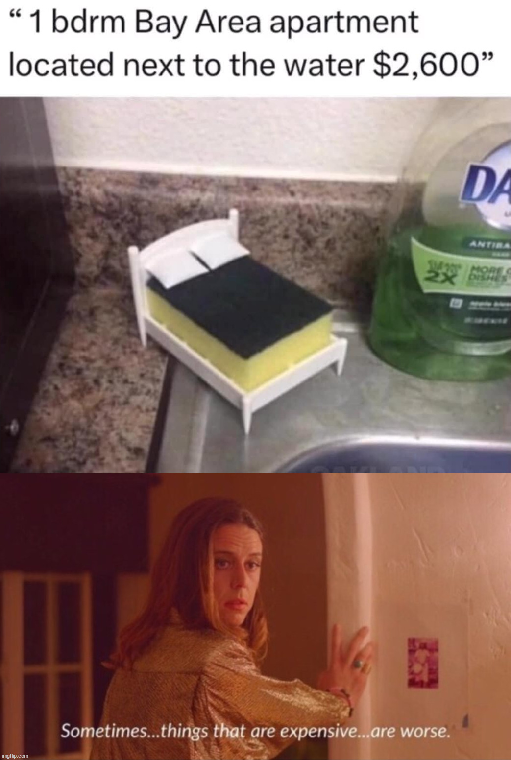 image tagged in sometimes things that are expensive are worse | made w/ Imgflip meme maker