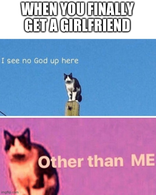 Yes, yes! | WHEN YOU FINALLY GET A GIRLFRIEND | image tagged in hail pole cat,memes | made w/ Imgflip meme maker