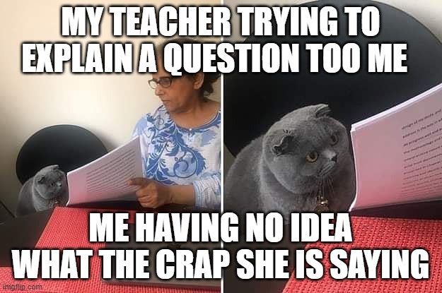 Woman showing paper to cat | MY TEACHER TRYING TO EXPLAIN A QUESTION TOO ME; ME HAVING NO IDEA WHAT THE CRAP SHE IS SAYING | image tagged in woman showing paper to cat,cats,school,funny | made w/ Imgflip meme maker