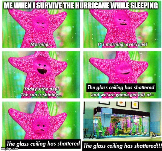 Hurricane Survive | ME WHEN I SURVIVE THE HURRICANE WHILE SLEEPING | image tagged in nemo starfish | made w/ Imgflip meme maker