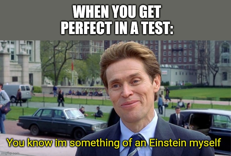 Hard but thats how you feel when you make it | WHEN YOU GET PERFECT IN A TEST:; You know im something of an Einstein myself | image tagged in you know i'm something of a scientist myself,school | made w/ Imgflip meme maker