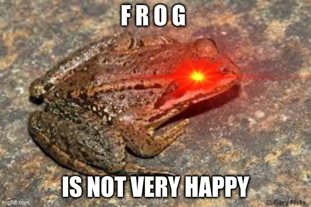 Froggo | F R O G; IS NOT VERY HAPPY | image tagged in angry | made w/ Imgflip meme maker