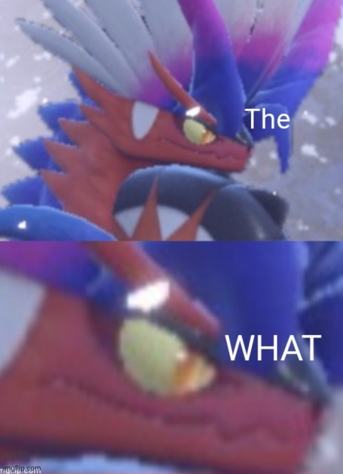 Me: That test was so easy! My friend: Yeah but the back was hard. | image tagged in the what koraidon edition | made w/ Imgflip meme maker