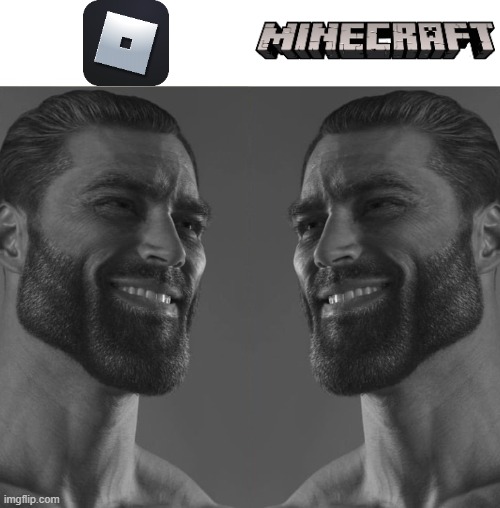 real chads don't fight | image tagged in average fan vs average enjoyer,roblox,vs,minecraft | made w/ Imgflip meme maker
