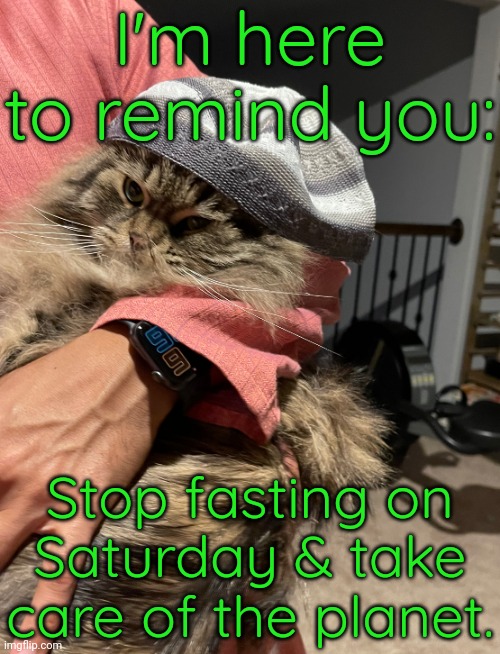 Ramadan ends on Earth Day this year. | I'm here to remind you:; Stop fasting on Saturday & take care of the planet. | image tagged in eid cat,islam,environment,happy holidays | made w/ Imgflip meme maker