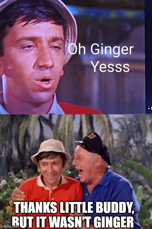 Gilligan. | THANKS LITTLE BUDDY, BUT IT WASN'T GINGER | image tagged in gilligan's island,skipper,blowjob | made w/ Imgflip meme maker