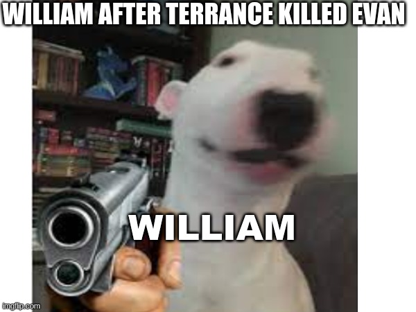 This is in my story and a dog because william a Furry ugly smug Bunny | WILLIAM AFTER TERRANCE KILLED EVAN; WILLIAM | image tagged in fnaf,michael afton,william afton,gun | made w/ Imgflip meme maker