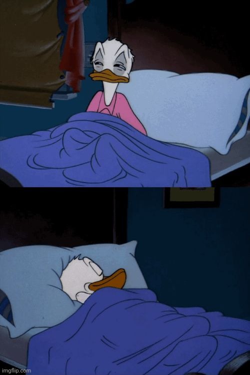 Sleeping Donald Duck | image tagged in sleeping donald duck | made w/ Imgflip meme maker