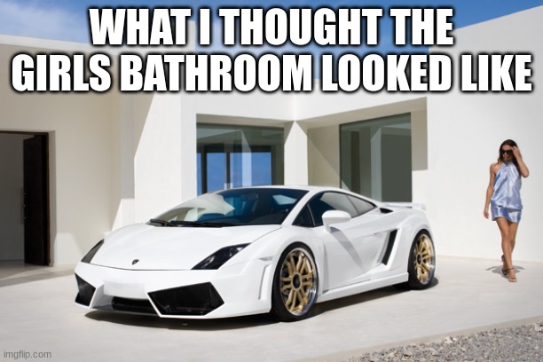 nice car/ house | WHAT I THOUGHT THE GIRLS BATHROOM LOOKED LIKE | image tagged in nice car/ house | made w/ Imgflip meme maker