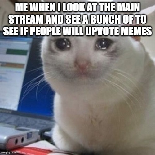 why have you done this | ME WHEN I LOOK AT THE MAIN STREAM AND SEE A BUNCH OF TO SEE IF PEOPLE WILL UPVOTE MEMES | image tagged in crying cat,memes | made w/ Imgflip meme maker