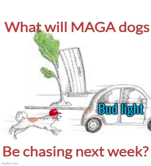 Chasing the issues no one cares about like a dog | image tagged in maga,chase,issues,no one cares,politics | made w/ Imgflip meme maker