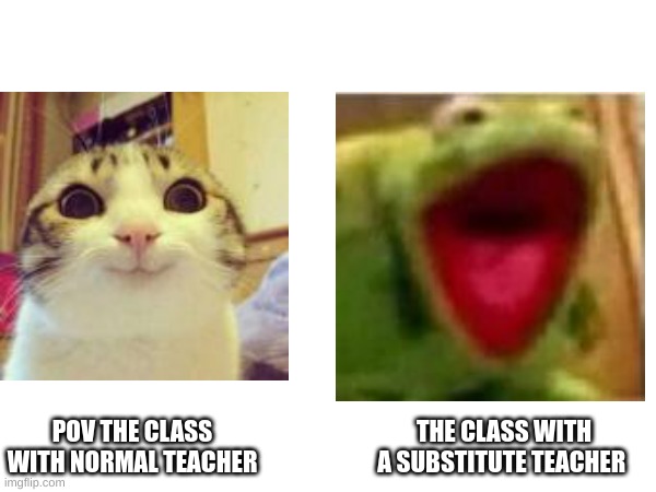 my class always like this | POV THE CLASS WITH NORMAL TEACHER; THE CLASS WITH A SUBSTITUTE TEACHER | image tagged in subitute teachers,school,i hate school | made w/ Imgflip meme maker