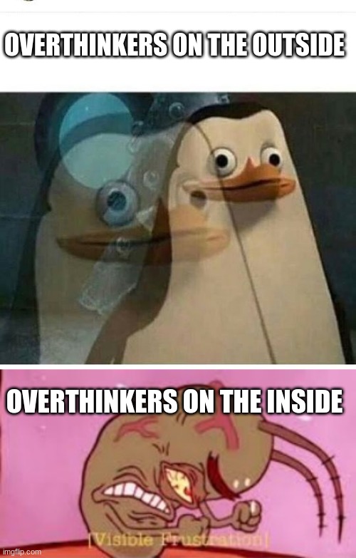 overthinkers 2 | OVERTHINKERS ON THE OUTSIDE; OVERTHINKERS ON THE INSIDE | image tagged in madagascar meme,visible frustration | made w/ Imgflip meme maker