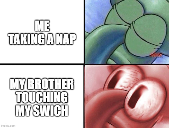 sleeping Squidward | ME TAKING A NAP; MY BROTHER TOUCHING MY SWICH | image tagged in sleeping squidward | made w/ Imgflip meme maker