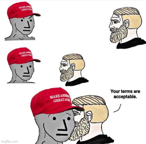 MAGA your terms are acceptable | image tagged in maga your terms are acceptable | made w/ Imgflip meme maker