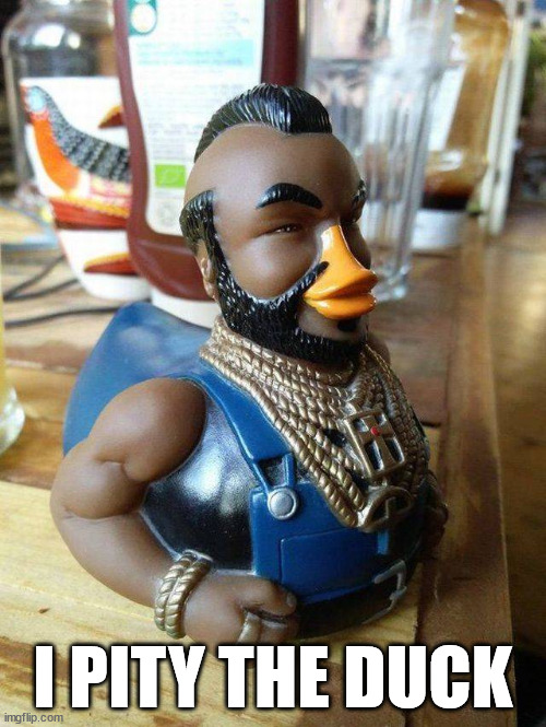 I PITY THE DUCK | image tagged in ducks | made w/ Imgflip meme maker