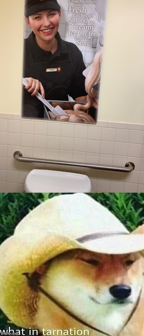 The ice cream poster in the restroom | image tagged in what in tarnation dog,restroom,bathroom,ice cream,you had one job,memes | made w/ Imgflip meme maker